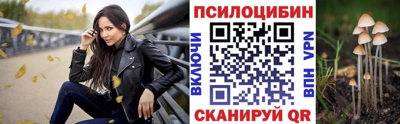 Псилоцибиновые грибы Cubensis  где продают   Макарьев 